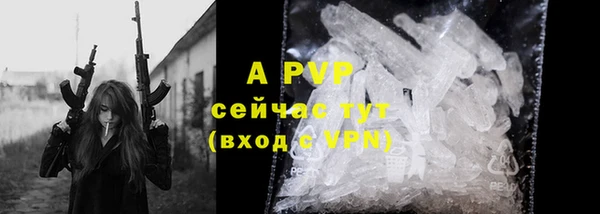 PSILOCYBIN Костерёво