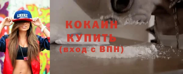 стаф Коряжма