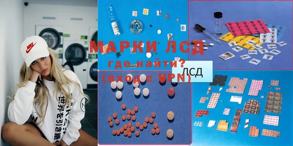 стаф Коряжма