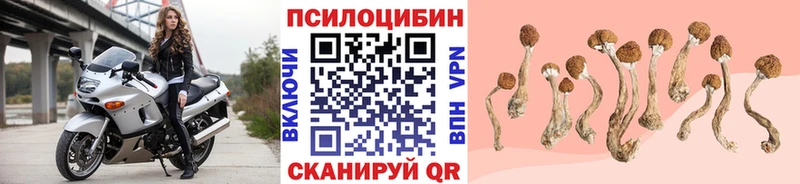 Галлюциногенные грибы мицелий  Яровое 